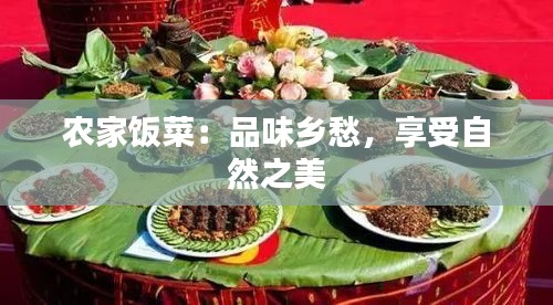 农家饭菜：品味乡愁，享受自然之美