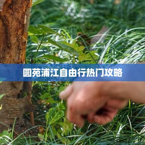 圆苑浦江自由行热门攻略