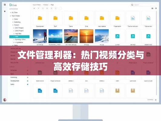 文件管理利器：热门视频分类与高效存储技巧
