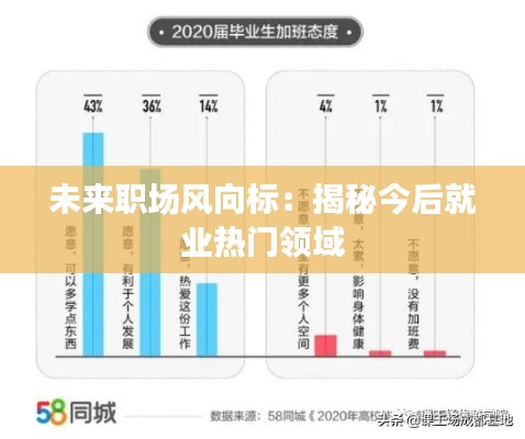 未来职场风向标：揭秘今后就业热门领域