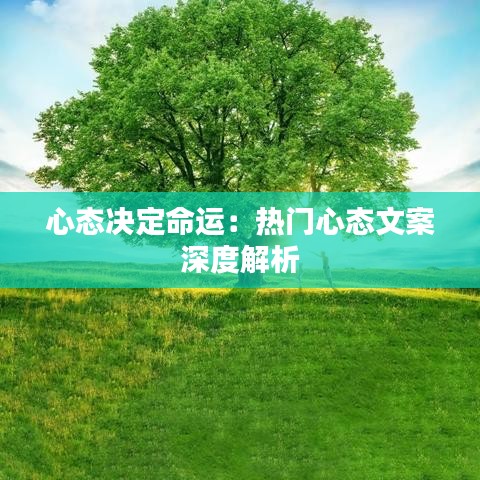 心态决定命运：热门心态文案深度解析