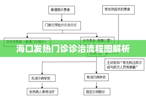 海口发热门诊诊治流程图解析