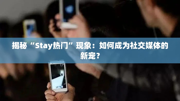 揭秘“Stay热门”现象：如何成为社交媒体的新宠？