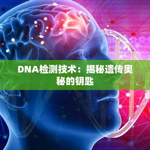 DNA检测技术：揭秘遗传奥秘的钥匙