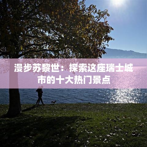 漫步苏黎世：探索这座瑞士城市的十大热门景点