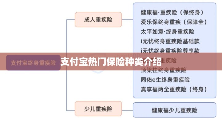 支付宝热门保险种类介绍