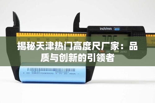 揭秘天津热门高度尺厂家：品质与创新的引领者