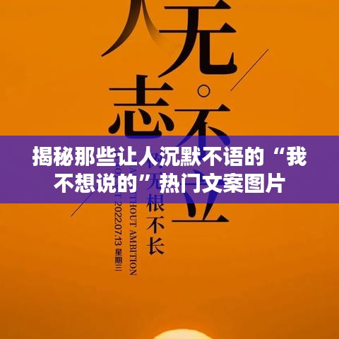 揭秘那些让人沉默不语的“我不想说的”热门文案图片