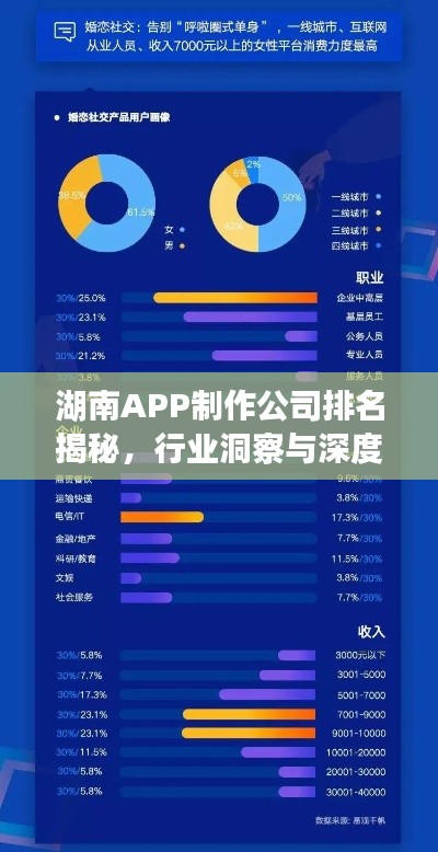 湖南APP制作公司排名揭秘，行业洞察与深度解析