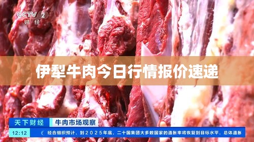 伊犁牛肉今日行情报价速递