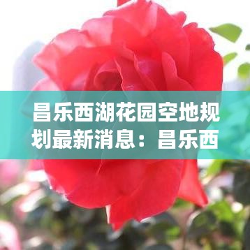 昌乐西湖花园空地规划最新消息：昌乐西湖花园售楼处电话 