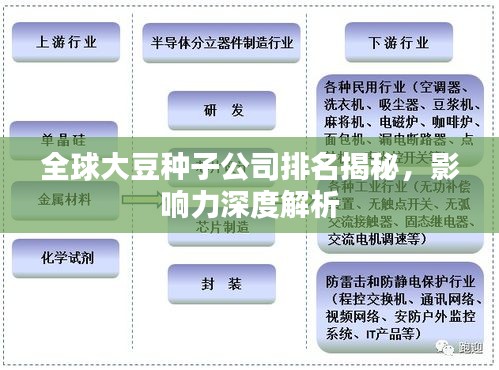 全球大豆种子公司排名揭秘，影响力深度解析