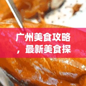 广州美食攻略，最新美食探索之旅，吃货必看的盛宴！