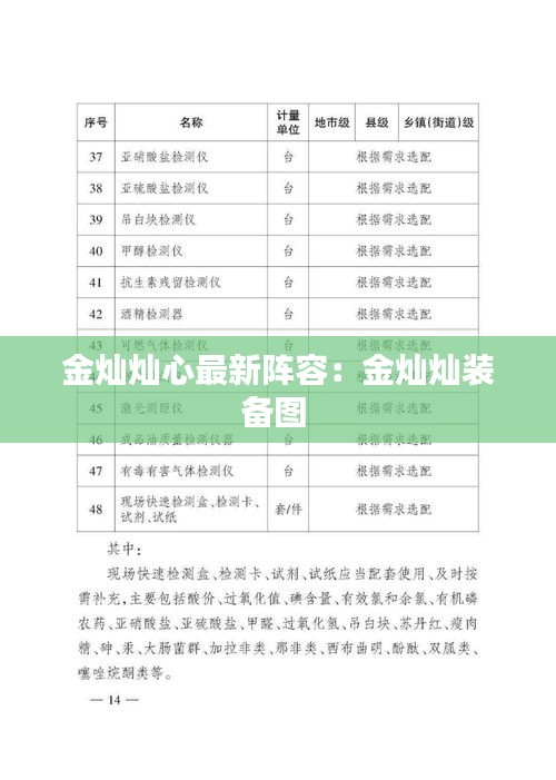 金灿灿心最新阵容：金灿灿装备图 