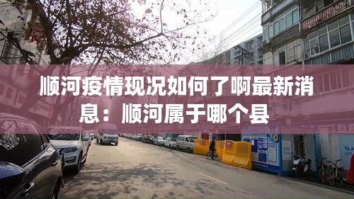 顺河疫情现况如何了啊最新消息：顺河属于哪个县 