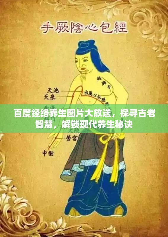 百度经络养生图片大放送，探寻古老智慧，解锁现代养生秘诀