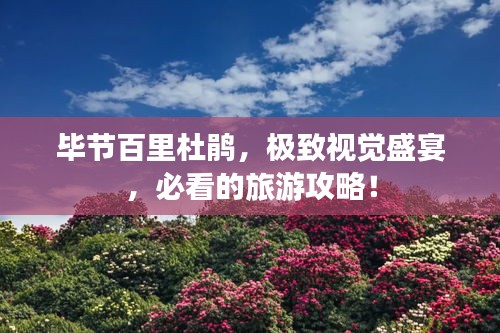 毕节百里杜鹃，极致视觉盛宴，必看的旅游攻略！