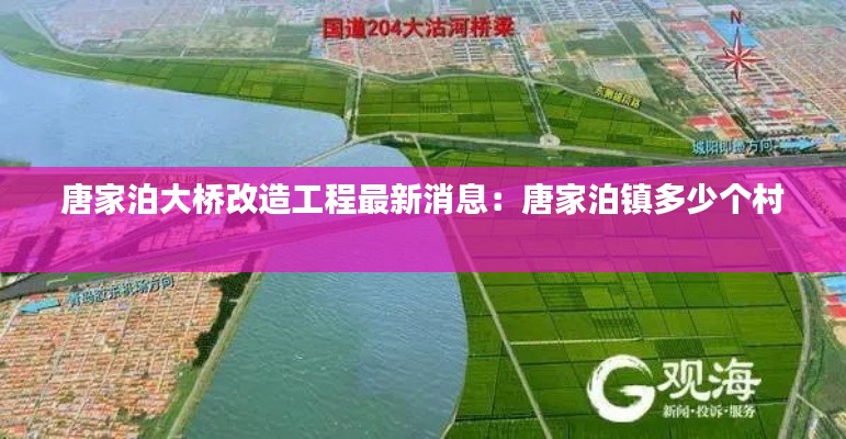 唐家泊大桥改造工程最新消息：唐家泊镇多少个村 