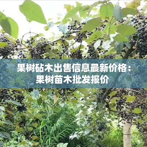 果树砧木出售信息最新价格：果树苗木批发报价 