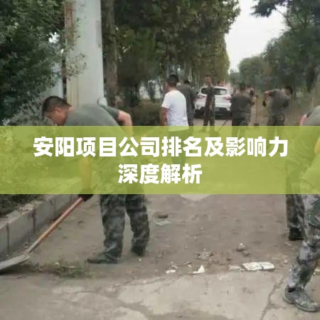 安阳项目公司排名及影响力深度解析