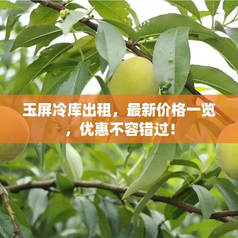 玉屏冷库出租，最新价格一览，优惠不容错过！