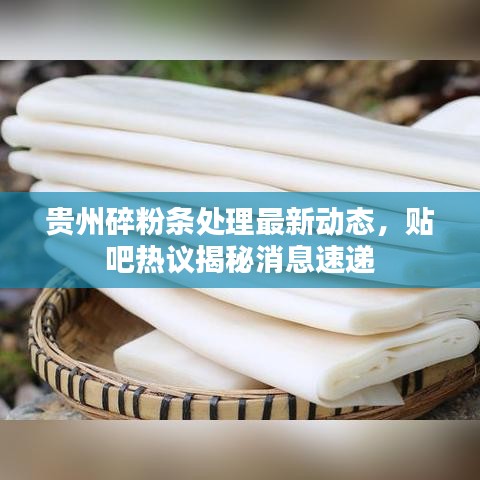 贵州碎粉条处理最新动态，贴吧热议揭秘消息速递