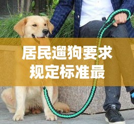 居民遛狗要求规定标准最新：遛狗法律 