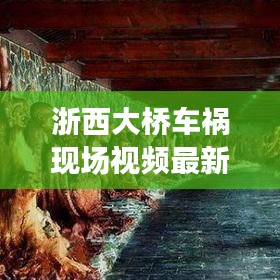 浙西大桥车祸现场视频最新：6月17日,浙江一座在建大桥突然坍塌 