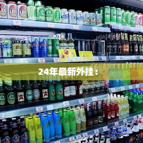 24年最新外挂： 