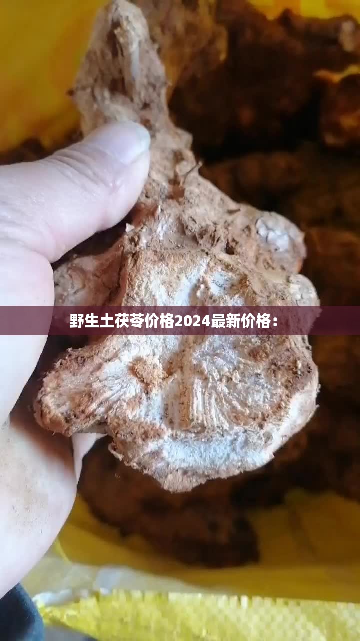 野生土茯苓价格2024最新价格： 