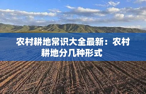 农村耕地常识大全最新：农村耕地分几种形式 