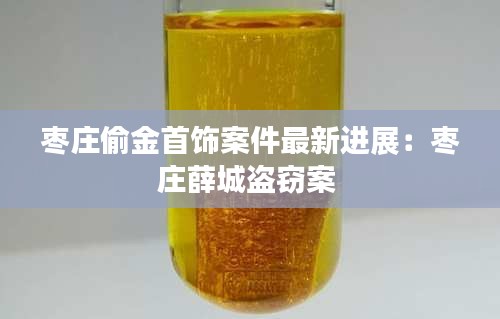 枣庄偷金首饰案件最新进展：枣庄薛城盗窃案 