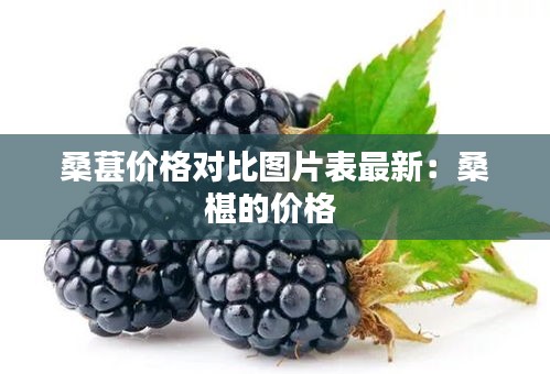 桑葚价格对比图片表最新：桑椹的价格 