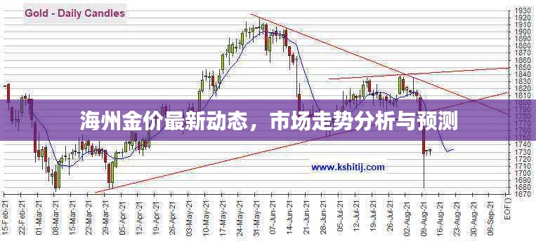 海州金价最新动态，市场走势分析与预测