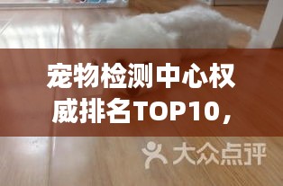 宠物检测中心权威排名TOP10，专业精准检测，贴心呵护宠物的健康守护者