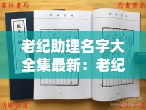 老纪助理名字大全集最新：老纪助理名字大全集最新一集 