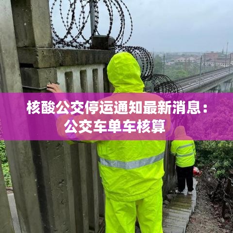 核酸公交停运通知最新消息：公交车单车核算 