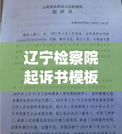 辽宁检察院起诉书模板最新：辽宁省检察院邮寄 