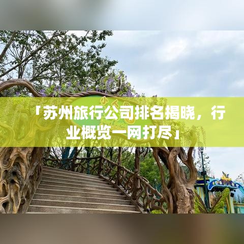 「苏州旅行公司排名揭晓，行业概览一网打尽」