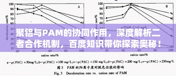 聚铝与PAM的协同作用，深度解析二者合作机制，百度知识带你探索奥秘！