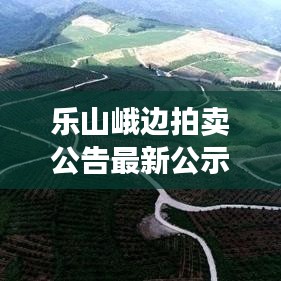 乐山峨边拍卖公告最新公示：乐山峨边县县城图片 