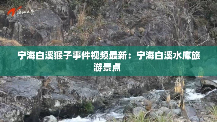 宁海白溪猴子事件视频最新：宁海白溪水库旅游景点 