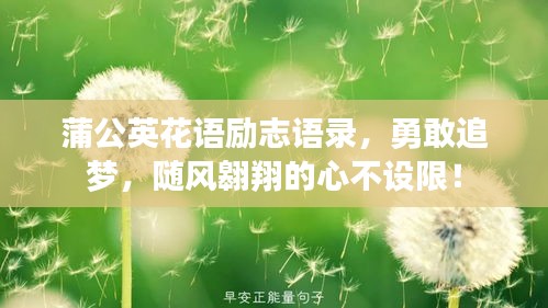 蒲公英花语励志语录，勇敢追梦，随风翱翔的心不设限！