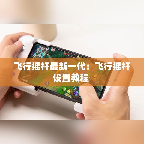 飞行摇杆最新一代：飞行摇杆设置教程 