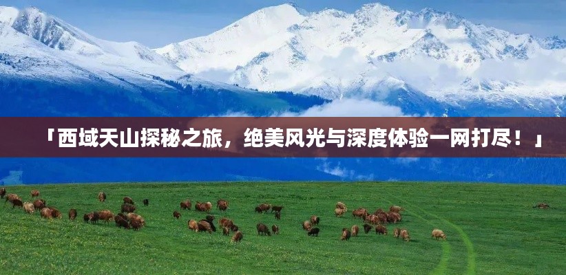 「西域天山探秘之旅，绝美风光与深度体验一网打尽！」