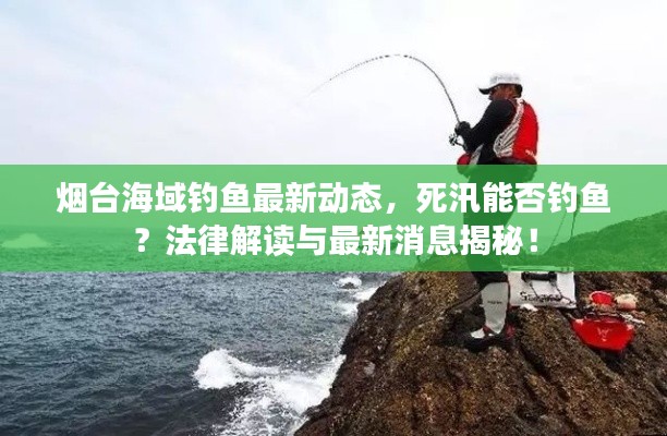 烟台海域钓鱼最新动态，死汛能否钓鱼？法律解读与最新消息揭秘！