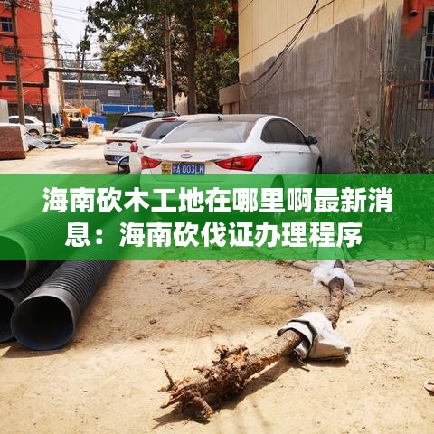 海南砍木工地在哪里啊最新消息：海南砍伐证办理程序 