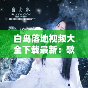 白鸟落地视频大全下载最新：歌曲白鸟 