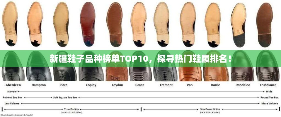 新疆鞋子品种榜单TOP10，探寻热门鞋履排名！