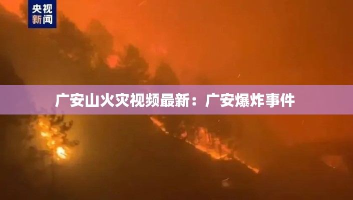 广安山火灾视频最新：广安爆炸事件 